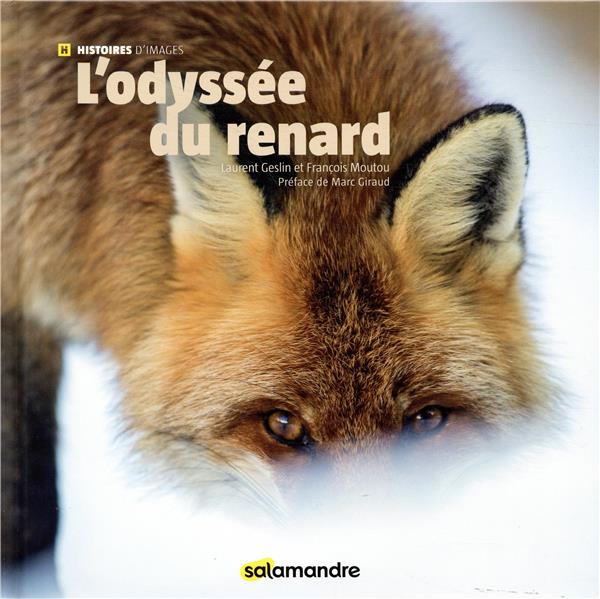 L'ODYSSEE DU RENARD