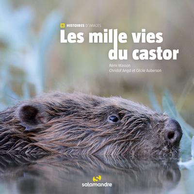 LES MILLES VIES DU CASTOR