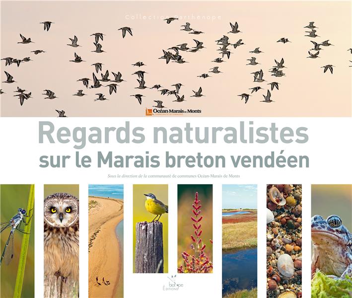 REGARDS NATURALISTES SUR LE MARAIS BRETON VENDEEN