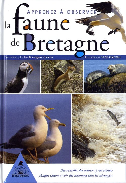 APPRENEZ A OBSERVER LA FAUNE DE BRETAGNE