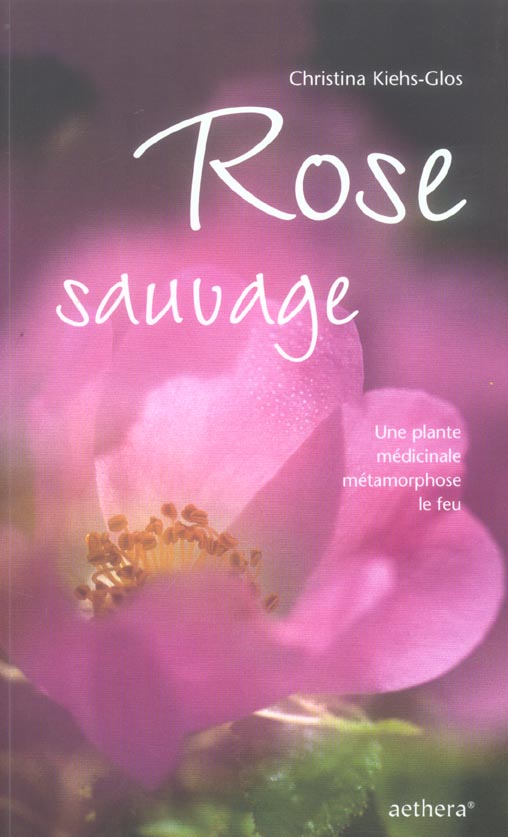 ROSE SAUVAGE - PLANTE MEDICINALE