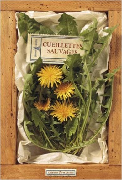 CUEILLETTES SAUVAGES