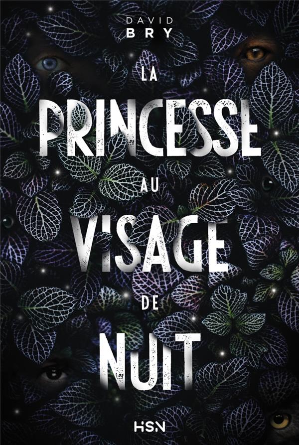 LA PRINCESSE AU VISAGE DE NUIT