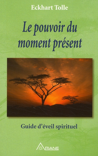 LE POUVOIR DU MOMENT PRESENT