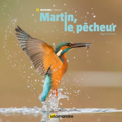 LE MARTIN-PECHEUR