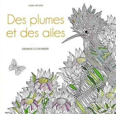 DES PLUMES ET DES AILES - DESSINS A COLORIER