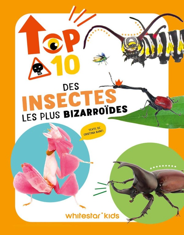 TOP 10 DES INSECTES LES PLUS BIZARROIDES