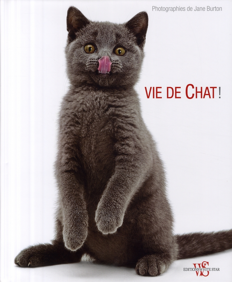 VIDE DE CHAT !