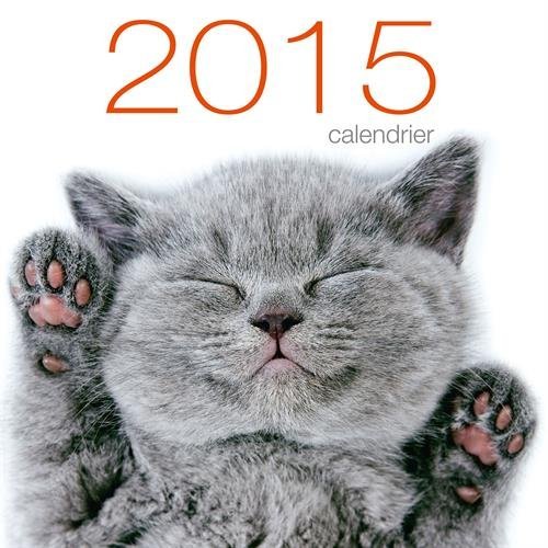 CALENDRIER MURAL CHATS 2015