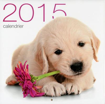 CALENDRIER MURAL CHIENS 2015