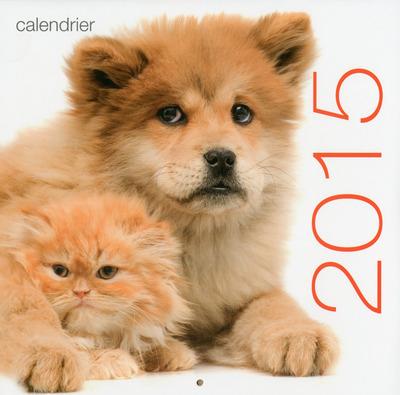 CALENDRIER MURAL CHATS ET CHIENS 2015