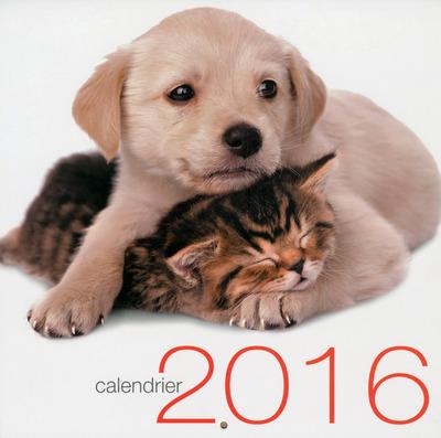 CALENDRIER MURAL CHATS ET CHIENS 2016