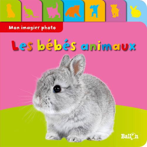 MON IMAGIER PHOTO - LES ANIMAUX