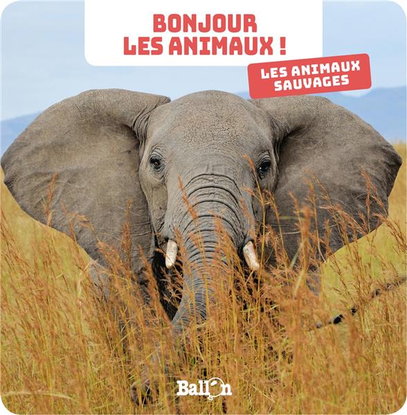 BONJOUR LES ANIMAUX : LES ANIMAUX SAUVAGES