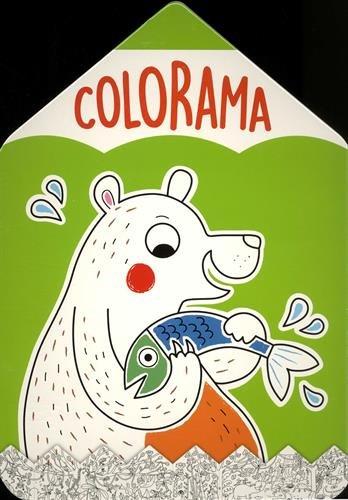 COLORAMA OURS VERT