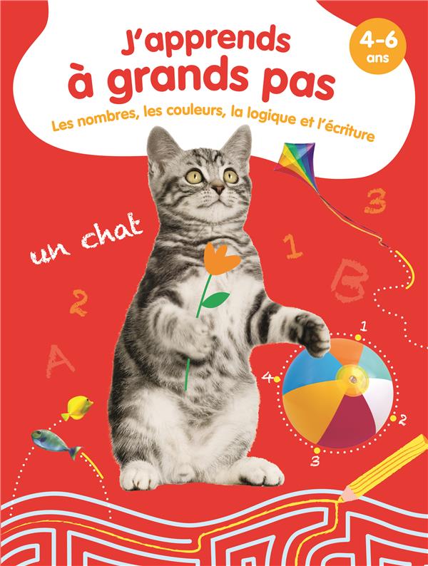 LES NOMBRES, LES COULEURS, LA LOGIQUE ET L'ECRITURE - J'APPRENDS A GRANDS PAS - 4-6 ANS