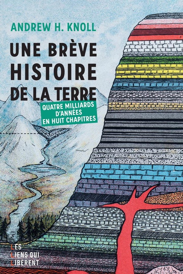 UNE BREVE HISTOIRE DE LA TERRE - QUATRE MILLIARDS D'ANNEES EN HUIT CHAPITRES