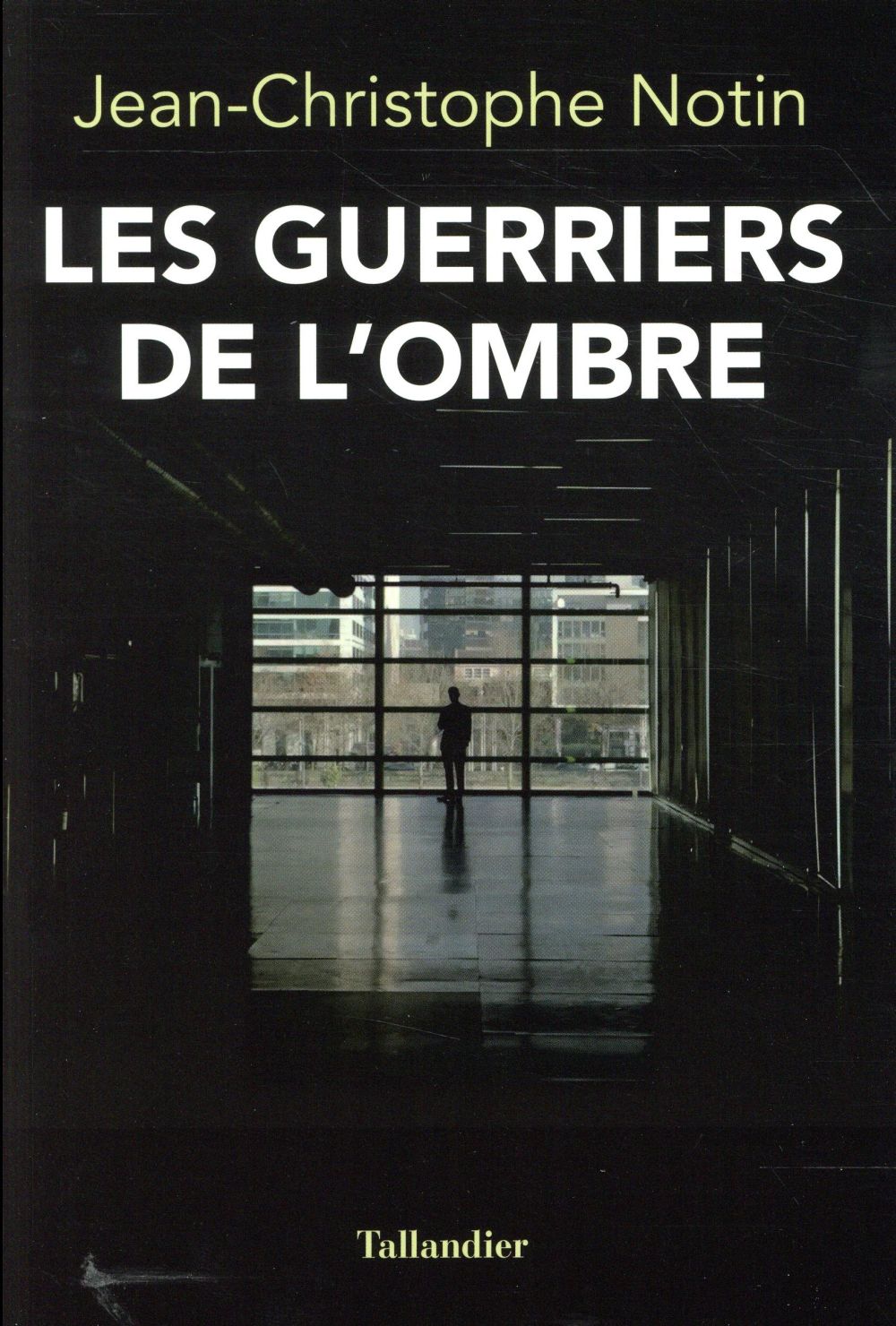 LES GUERRIERS DE L'OMBRE