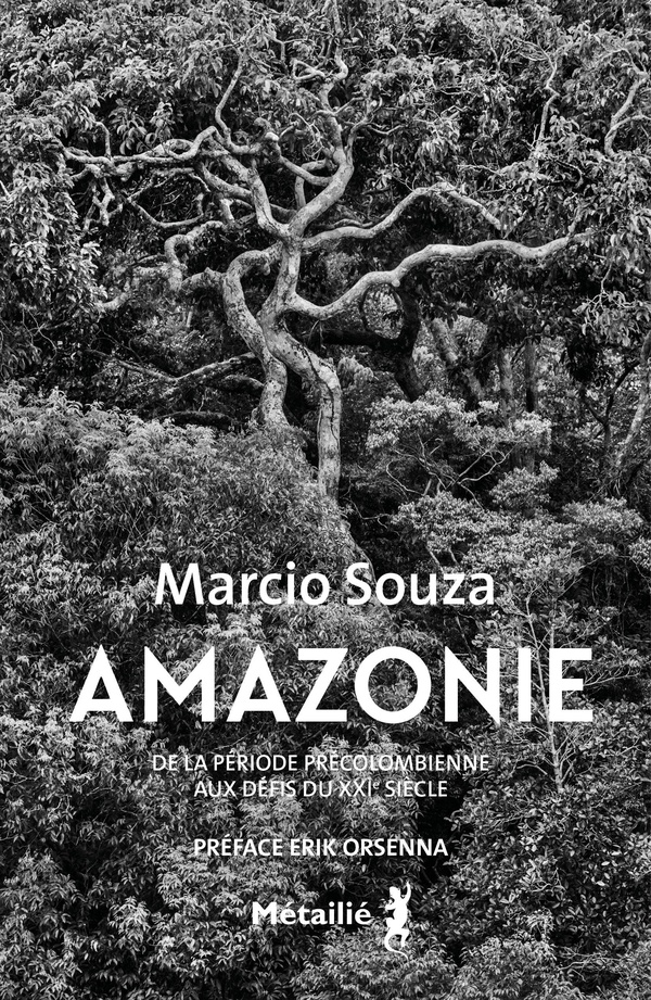 AMAZONIE - DE LA PERIODE PRECOLOMBIENNE AUX DEFIS DU 21E SIECLE