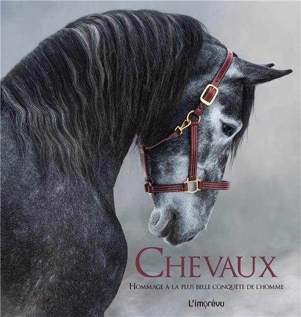 CHEVAUX -  HOMMAGE A LA PLUS BELLE CONQUETE DE L'HOMME