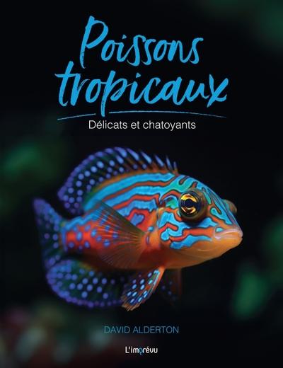 POISSONS TROPICAUX - DELICATS ET CHATOYANTS
