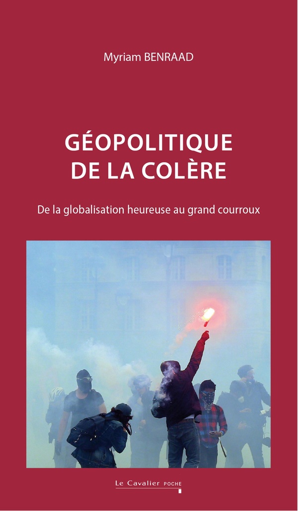 GEOPOLITIQUE DE LA COLERE - DE LA GLOBALISATION HEUREUSE AU GRAND COURROUX