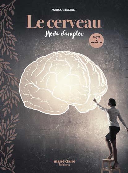 LE CERVEAU : MODE D'EMPLOI