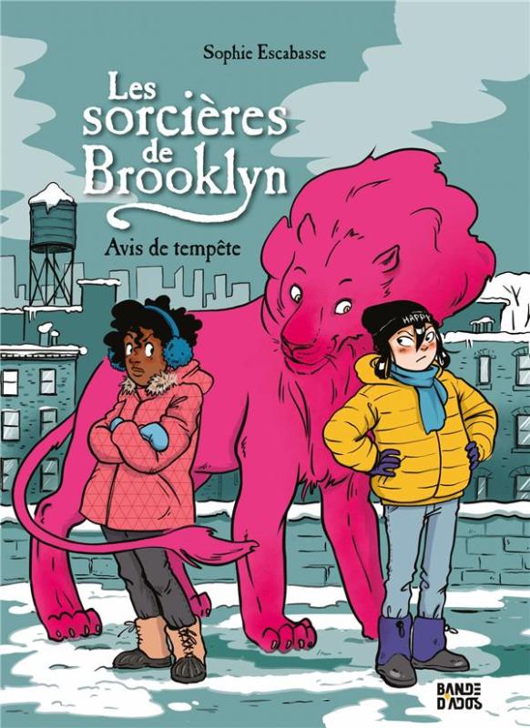 LES SORCIERES DE BROOKLYN, TOME 02 - AVIS DE TEMPETE