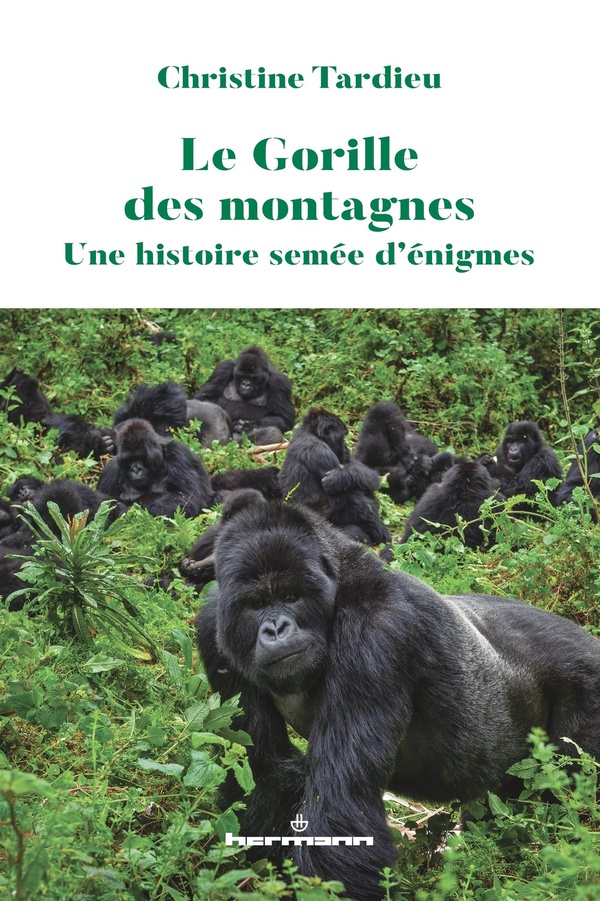 LE GORILLE DES MONTAGNES - UNE HISTOIRE SEMEE D'ENIGMES