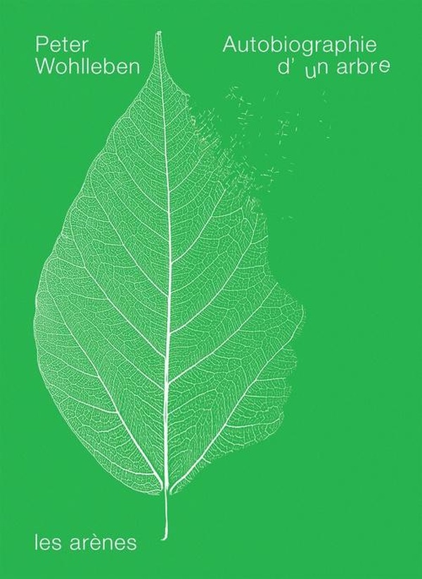 AUTOBIOGRAPHIE D'UN ARBRE