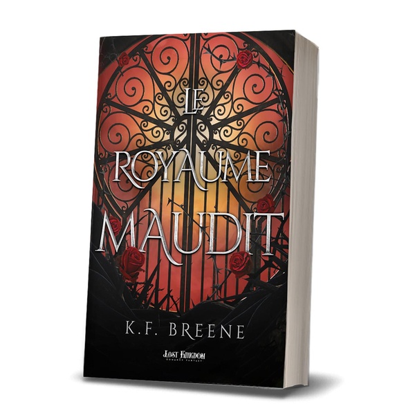 DARK FAIRYTALES - T03 - LE ROYAUME MAUDIT - DARK FAIRYTALES 3