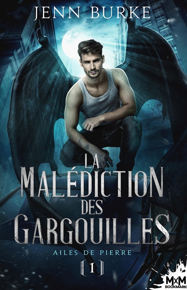 LA MALEDICTION DES GARGOUILLES - T01 - AILES DE PIERRE - LA MALEDICTION DES GARGOUILLES, T1