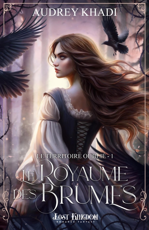 LE ROYAUME DES BRUMES - T01 - LE TERRITOIRE OUBLIE - LE ROYAUME DES BRUMES 1