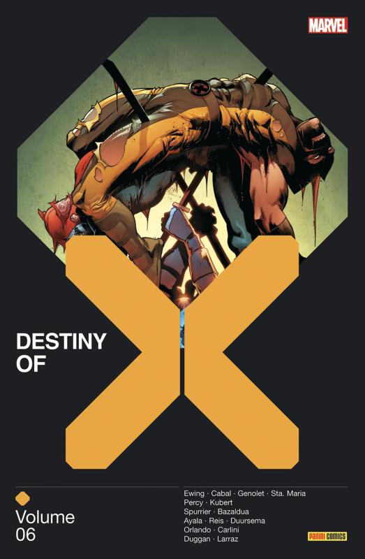 DESTINY OF X T06