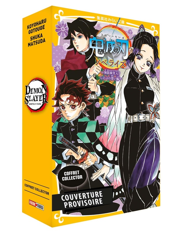 COFFRET DEMON SLAYER T15 + ROMAN JEUNESSE T06