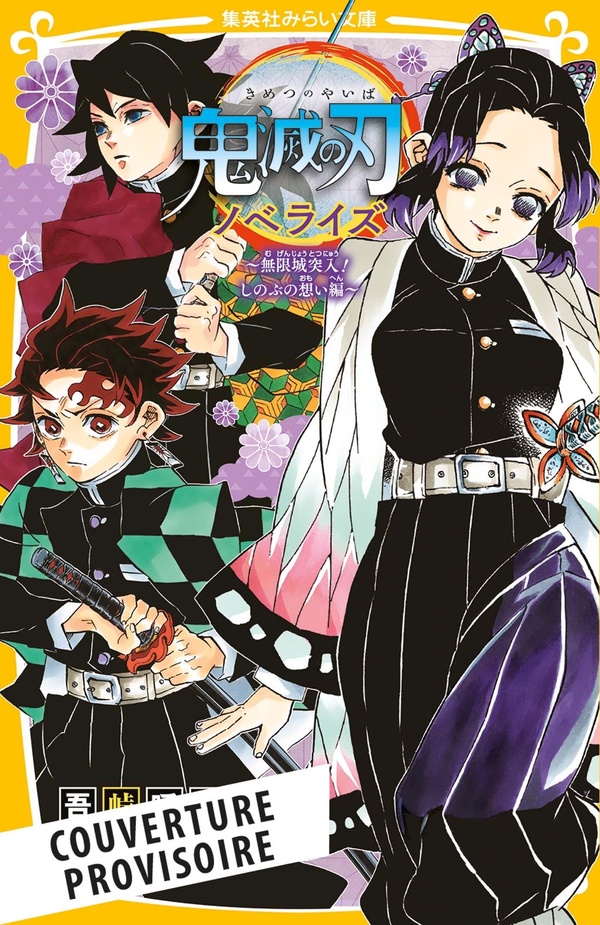 DEMON SLAYER - ROMAN JEUNESSE T06