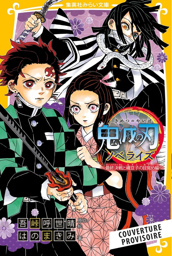 DEMON SLAYER - ROMAN JEUNESSE N 09