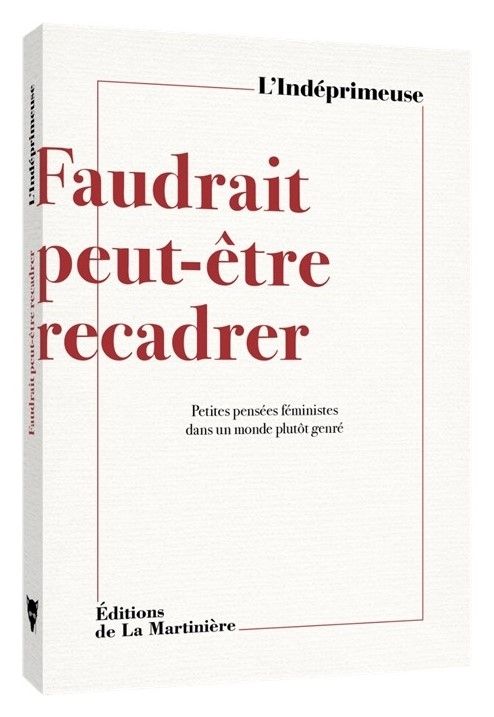 FAUDRAIT PEUT-ETRE RECADRER - PETITES PENSEES FEMINISTES DANS UN MONDE PLUTOT GENRE