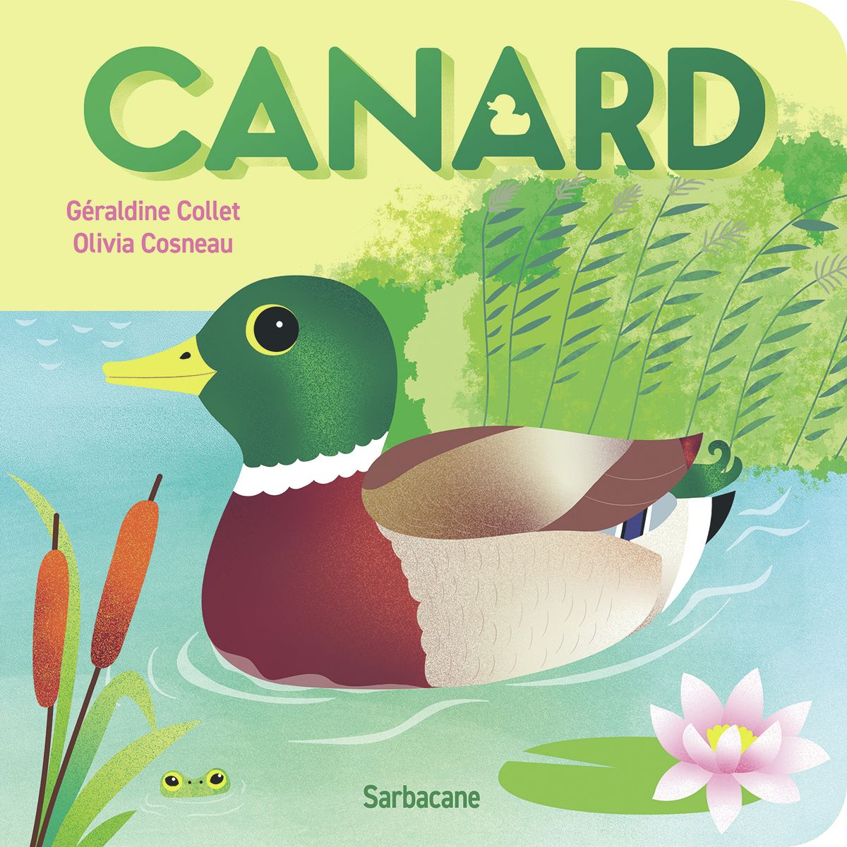 CANARD