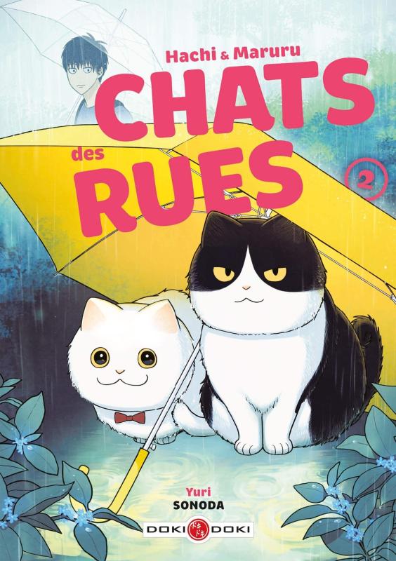 HACHI & MARURU - CHATS DES RUES - T02 - HACHI & MARURU - CHATS DES RUES - VOL. 02