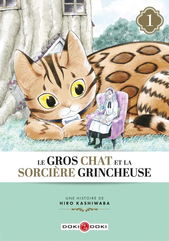 LE GROS CHAT ET LA SORCIERE GRINCHEUSE - T01 - LE GROS CHAT ET LA SORCIERE GRINCHEUSE - VOL. 01