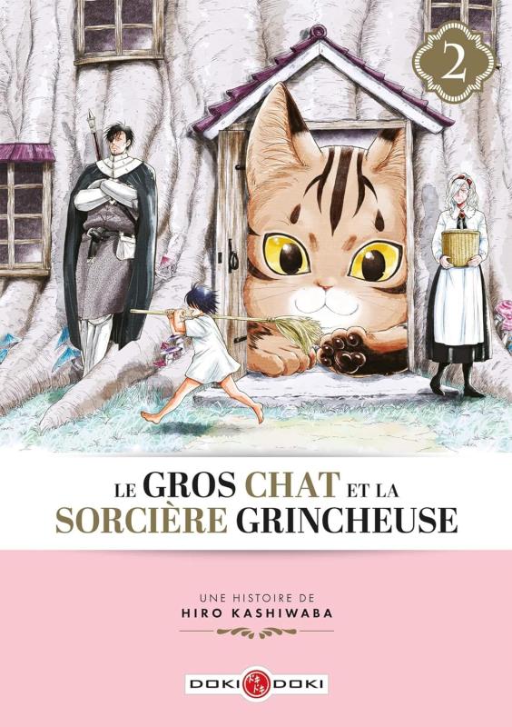 GROS CHAT ET LA SORCIERE GRINCHEUSE (LE) - T02 - LE GROS CHAT ET LA SORCIERE GRINCHEUSE - VOL. 02