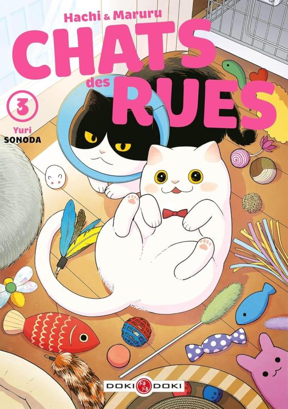 HACHI & MARURU - CHATS DES RUES - T03 - HACHI & MARURU - CHATS DES RUES - VOL. 03