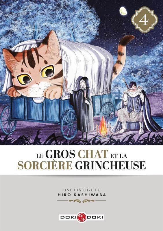LE GROS CHAT ET LA SORCIERE GRINCHEUSE - T04 - LE GROS CHAT ET LA SORCIERE GRINCHEUSE - VOL. 04
