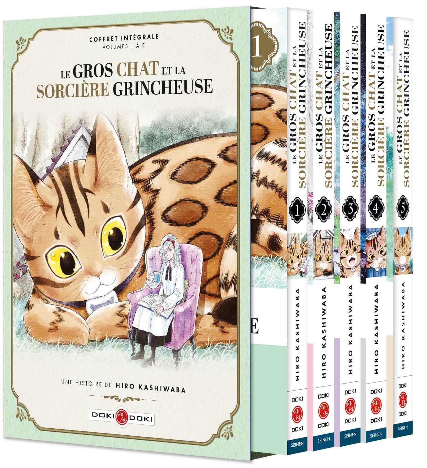 LE GROS CHAT ET LA SORCIERE GRINCHEUSE - T01 - LE GROS CHAT ET LA SORCIERE GRINCHEUSE - COFFRET VOL.