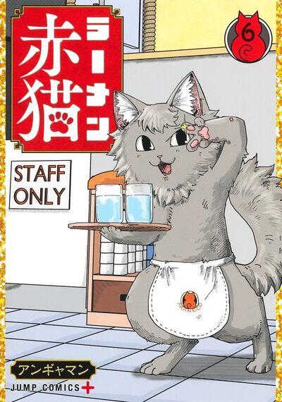 RAMEN AKANEKO - TOME 6