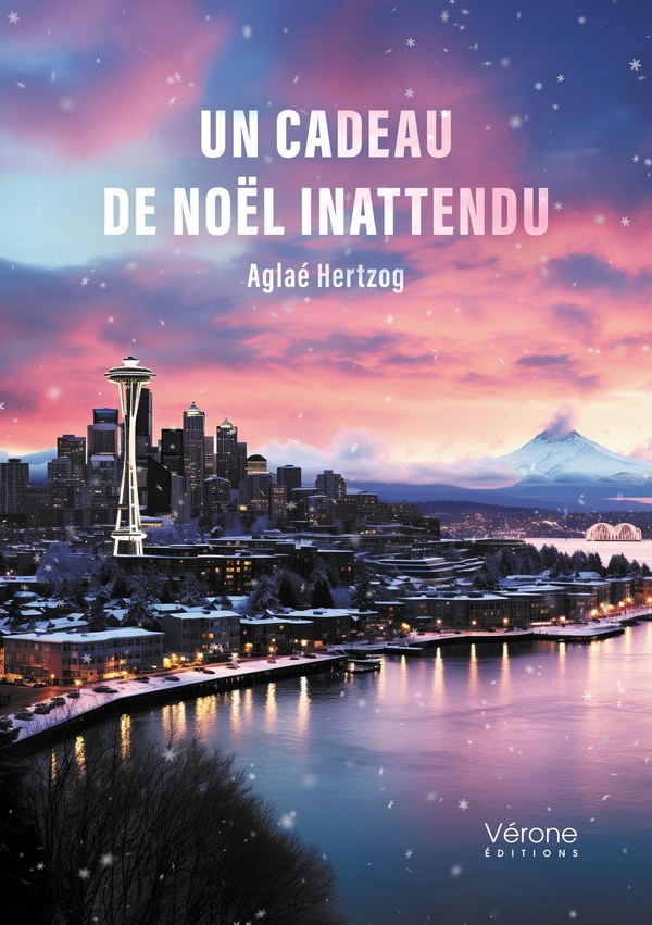 UN CADEAU DE NOEL INATTENDU