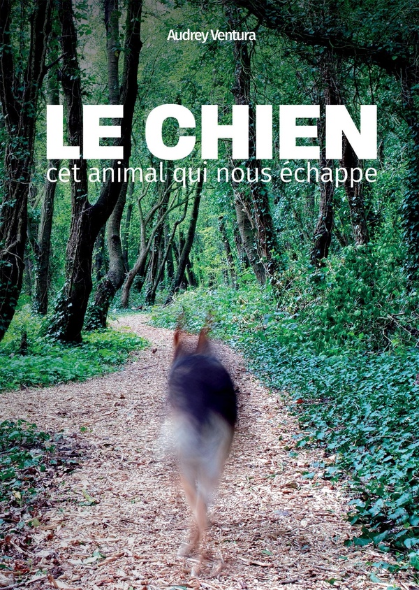 LE CHIEN, CET ANIMAL QUI NOUS ECHAPPE