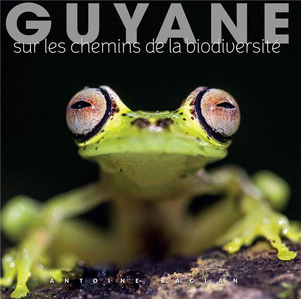 GUYANE - SUR LES CHEMINS DE LA BIODIVERSITE