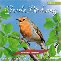 GENTLE BIRDSONG - AUDIO